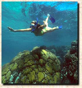 Diving  and snorkelling