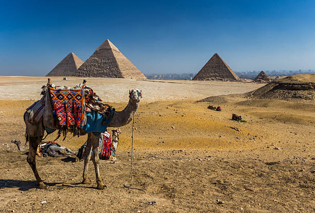 Cairo High light